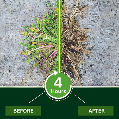 🌿 Cvreoz® 2-in-1 Weed Killer | Same-Day Results & Kills Roundup-Resistant Weeds